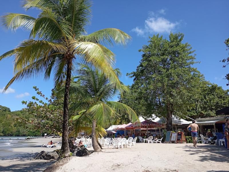 Hôtel, Spa et Résidence Courbaril - Restauration