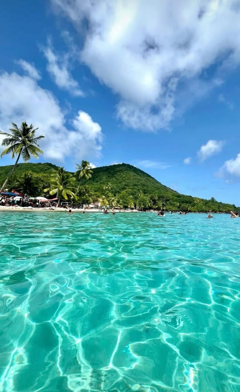 Le Courbaril - Hôtel, Résidence et Spa